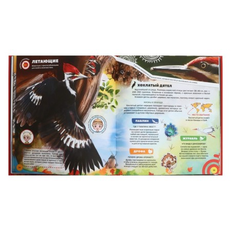 4D encyclopedia in augmented reality "Animal World"-5