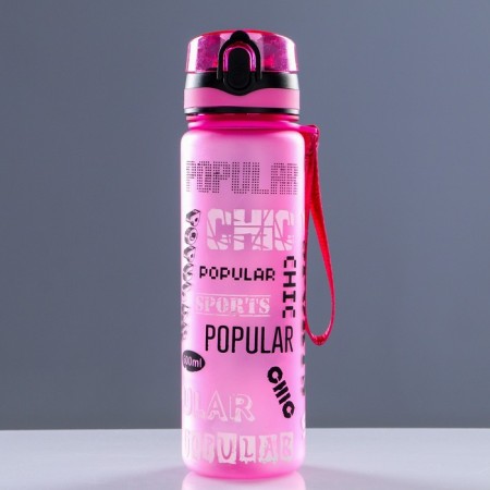 Water bottle, 600 ml, Popular, with a sieve for fruits, 23 x 6 cm, gray-2