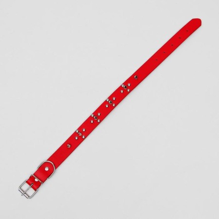 Animal collar-2