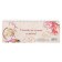 Horizontal planing "beloved teacher", 50 sheets
