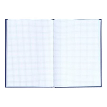 Book of accounting, 96 sheets, boumvinyl cover, offset block, cage, blue color, sticker-3
