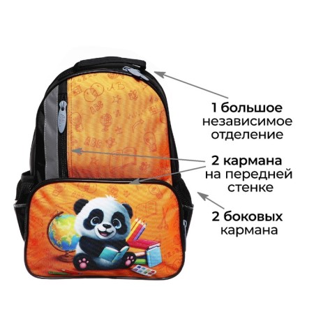 School backpack, 37 x 26 x 13 cm, ergonomic back, calligrata orth "Panda"-3