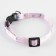 A collar for dogs and cats with fasting "Swallows", 30x1 cm