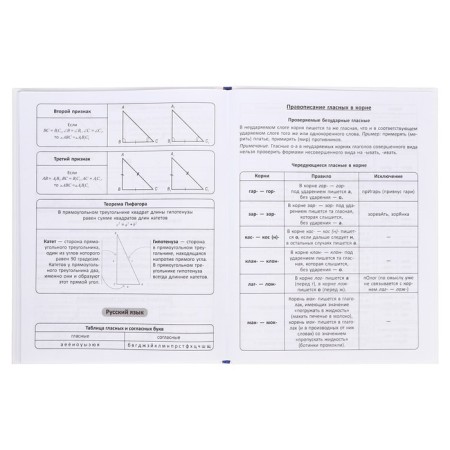 Diary Solid Cover 1-11 grade 48 sheets, Raven, Cardboard 7BC cover, matte lamination, selective UV-LK, cheat sheet-10