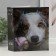 Photo album for 200 photos 10x15 cm "Dog-4, with rose"