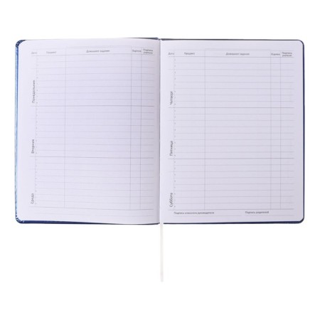 Universal diary for grades 1-11, hard cover, artificial leather, foam rubber, silkography, lies, 80 g/m2-6