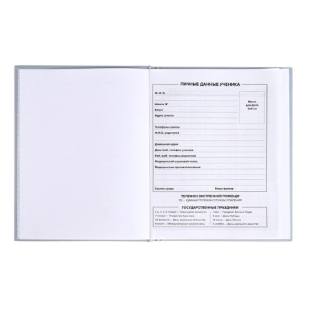 School diary for grades 1-11, "blue", covered paper cover, hard binding cardboard 7BC, matte lamination, universal cheat sheet, 48 sheets, block 65g/m2-3