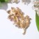 Brooch "Flower" Field, color in gold