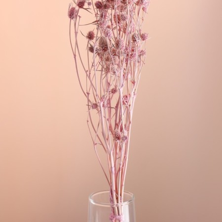 A set of dried flowers "Eringium", ban 5 pcs, length 50 (+/- 6 cm), pink-1
