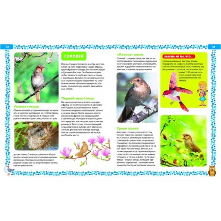 Big book about birds. Illustrated encyclopedia-10