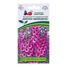Flower seeds Dolphinium 