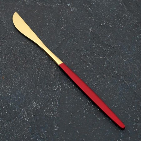 Stainless steel knife Magistro "Blink", length 22 cm, hanging gold, red handle.-1