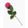 Soap rose fuchsia in a box