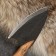 Cutting knife "Shark"