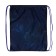 A bag for shoes 420 x 340 mm, calligrata MSO-5s, (soft polyester, density 210d), "cat"