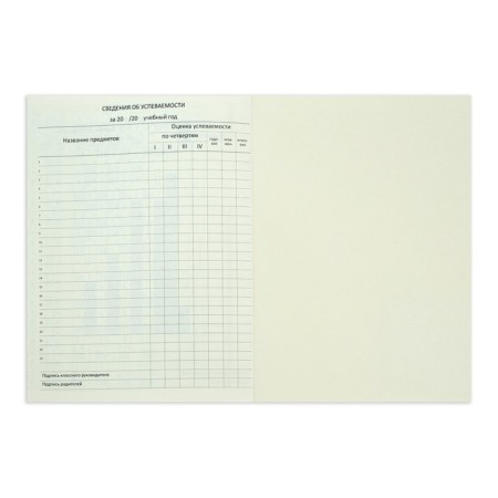 Universal diary for grade 1-11 Croco Feel Inspired, solid cover, artificial leather, foil embossing, liesse, 48 sheets-4