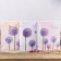 Photo album for 200 photos 10x15 cm "Dandelions" mix