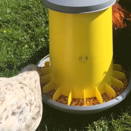 Bunker feeder for poultry at 15 kg, plastic, Arcus-4