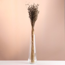 Set of dried flowers 