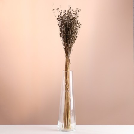 Set of dried flowers "Lenon-debunge", banch length 55-60 (+/- 6 cm), bronze