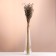 Set of dried flowers "Lenon-debunge", banch length 55-60 (+/- 6 cm), bronze