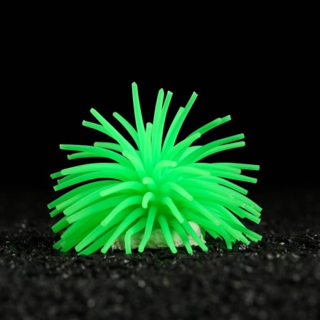 Decorative anemon for the aquarium, 8 x 5 cm, green