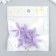 Decor for creativity Plastic "Violet Marine Star" Sugar 3.8x0.5x3.8 cm
