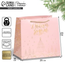Laminated Sapphire Packet, 25 x 23 x 18 cm, New Year