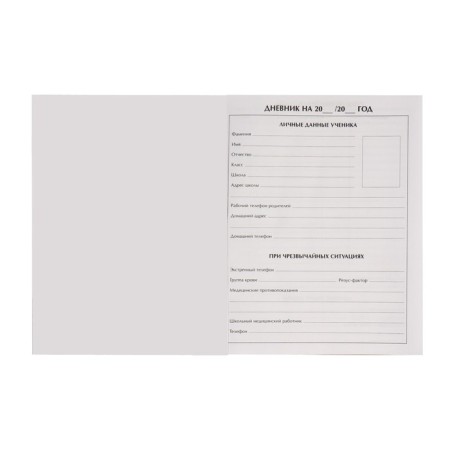 Diary for grades 1-4, "dinosaurus. Pattern", solid cover 7BC, matte lamination, 48 sheets-3