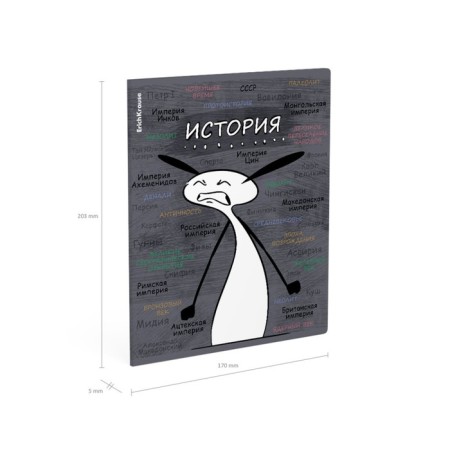 Subject notebook, 48 sheets, cage, history of Erichkrause "Chubrik", plastic cover silk-screen covers, Bloc Offset 100%, information block-6