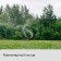 Spray 4 - flowerpot, fitting for hoses 1/2 (12 mm) - 3/4 "(19 mm), peak, plastic," beetle "