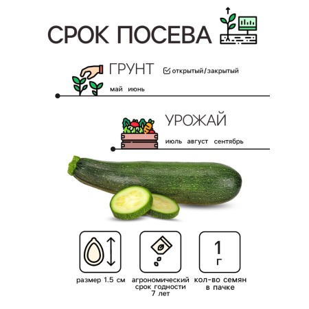 Semen zucchini zucchini "Farao", 1 g-1