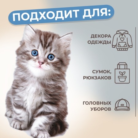 Thermalrotransfer "Kitten", 11.6 × 19 cm-2