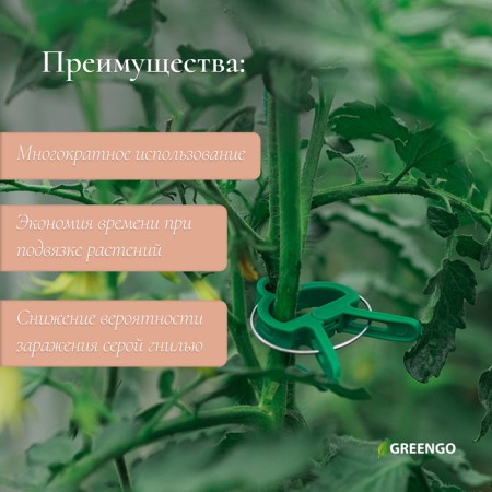 Set for attaching plants: wire - 18 m, clothespins - 18 pcs., Garter 24 cm - 12 pcs., Greengo-3