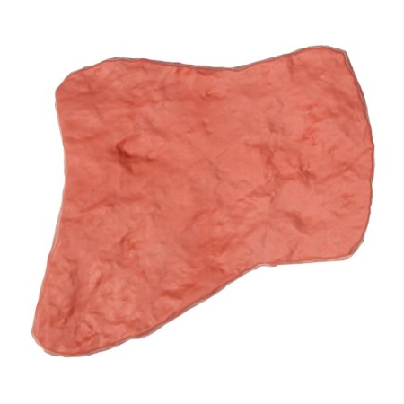 Modular coating, 55 × 42 cm, plastic, terracotta, “stone No. 1”, 1 pcs