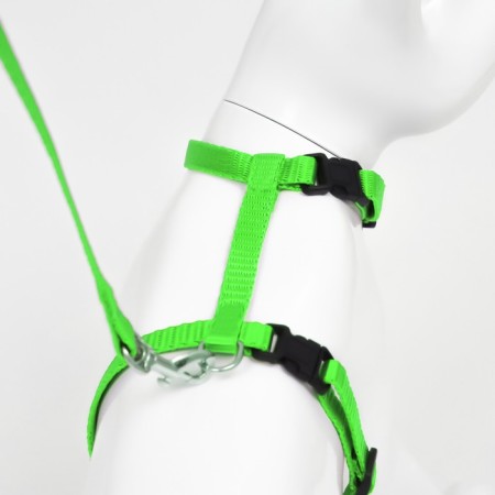 Kit for cats, width 1 cm, Osh 16.5-27 cm, fire 21-35 cm, leash 120 cm, green-4