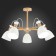 Ceiling EVOLUCE lamp. Sle103802-05. Balcamo. 5x60 watts, E27, 65x65x45 cm, color light wood, white