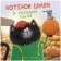 Kitten Shmyak and a large pumpkin. Scotton R.
