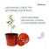 Pot for seedlings, 5 l, d = 22 cm, h = 18 cm, terracotta, Greengo