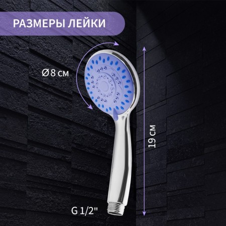 Shower Lake Zein Z403, plastic, 4 modes, color chromium-2