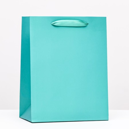 Laminated Green Packet, 18 x 23 x 10 cm