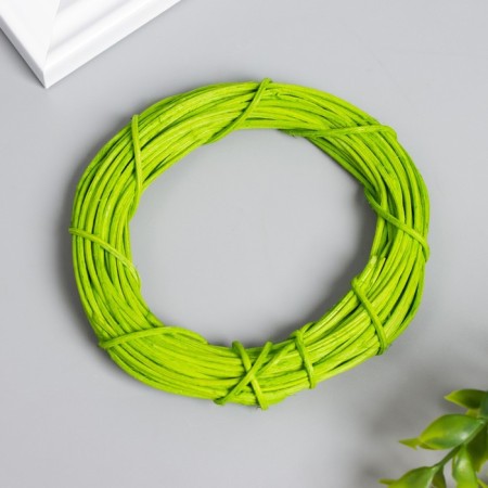 Ring Roadan for manufacturing a green catfish "Green" d = 10 cm