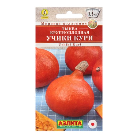 Large -fruited pumpkin seeds "Kuri teachers", world collection, 1 g