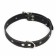 Collar leather two-layer dimensionless, 69 x 3.5 cm, Osh 45-60 cm, black