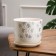 Flower Gloria Gloria Pot White BUY №3 2.79 l