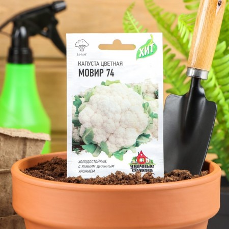 Cauline Cabbage Seeds "Movir 74", 0.1 g Series Hit X3