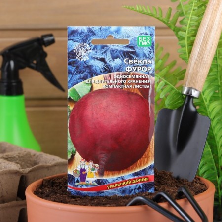 Fur beets "Furore" is rounded, with dark red pulp, without rings and fibers 2 g-2