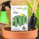 Cucumber seeds "Baby", ultra -rapid, bee -legged, 0.3 g Series Hit X3