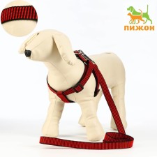Acunition set is embossed, leash 120 x 2 cm, og 44-50 cm, red-black