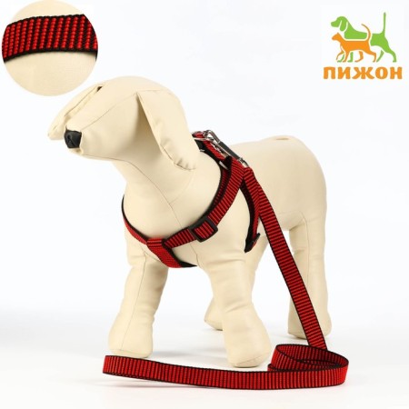 Acunition set is embossed, leash 120 x 2 cm, og 44-50 cm, red-black